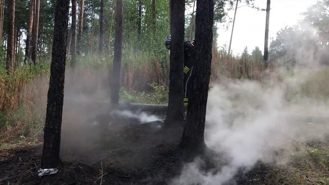 Пожар на лыжной базе, в лесной зоне. Эльмаш (26.07.2020)
