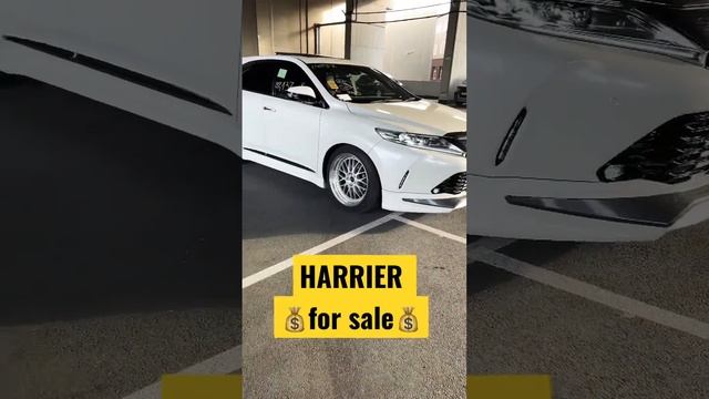 В свободной продаже от Хочу Авто