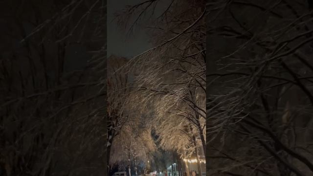 Winter in Ukraine - infinite generator noise 🥵 and glass trees 🪄