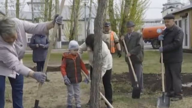 Более 500 крупных саженцев высадили в Иркутске