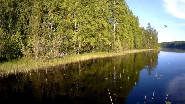 Рыбалка на спиннинг в Карелии🎣 Лещи сводят с ума!🔥#карелия #рекомендации  #fishing #лещь #щука