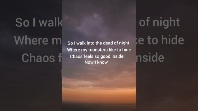 Lost Control lyrics ||Alan Walker ft Sorana