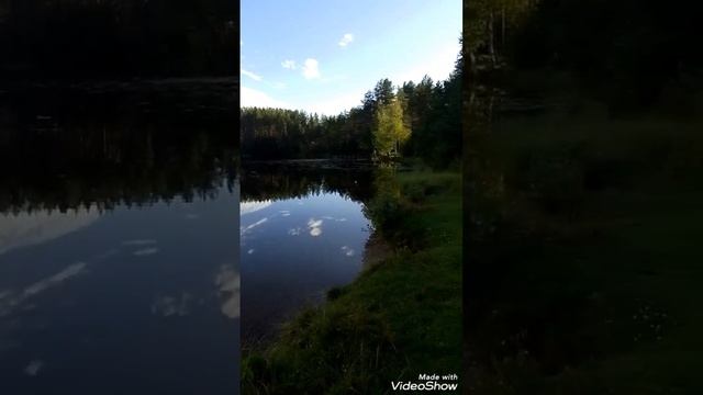 Карелия