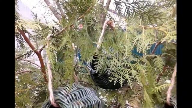 Птичьи кормушки плетеные