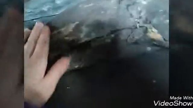 Влог  в  Рудне