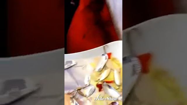 Мои блёсны