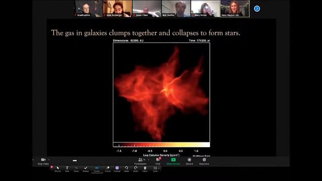 CAS: Polaris Mentorship Program