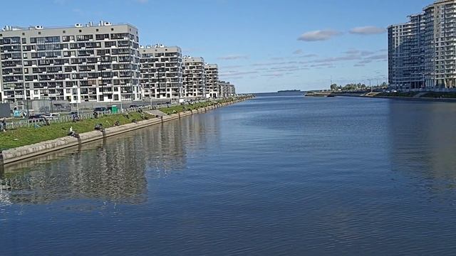 Соревнования по рыбной ловли
