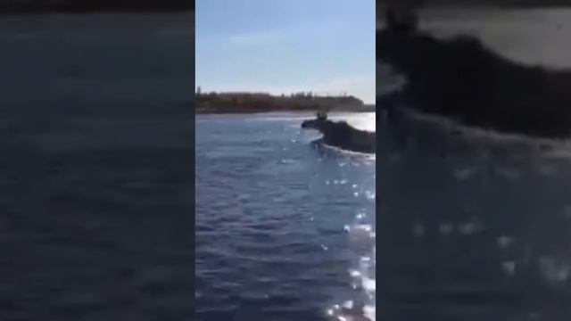 У каждого свой путь