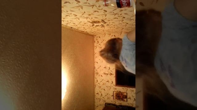 Что ч обычно ем