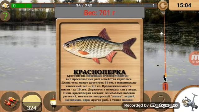 Обзор игры реальная рыбалка