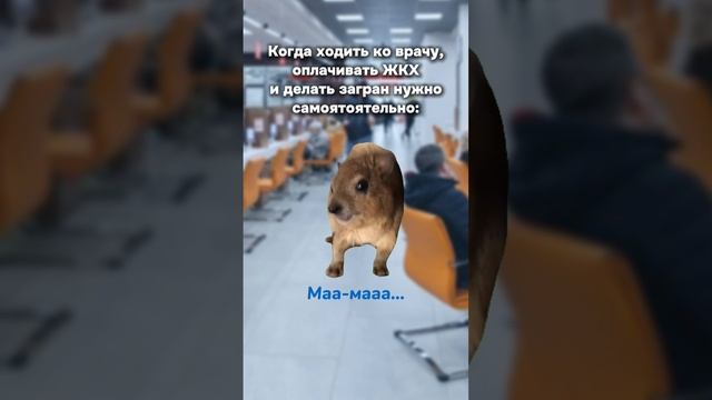 ⏳В этих местах время всегда течет по-другому...  #страхование #страховка #каско #осаго