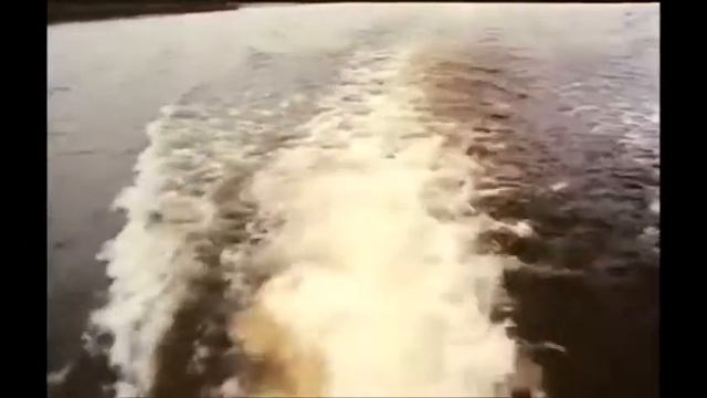 Утром пароход высадил нас на пристани города Икс, а сам поплыл дальше