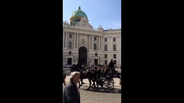 Вена прогулки в карете