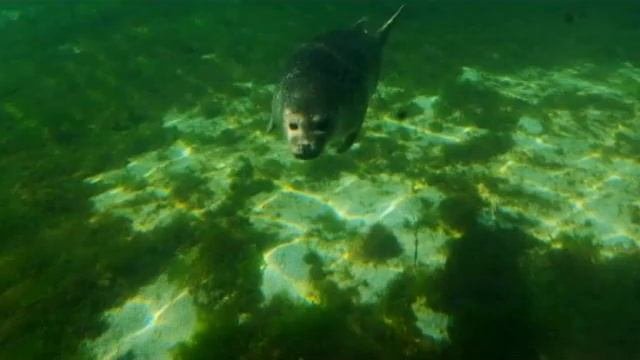 Норвегия под водой