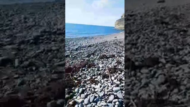 4 февраля 2021 г.Прямая трансляция с Чёрного моря