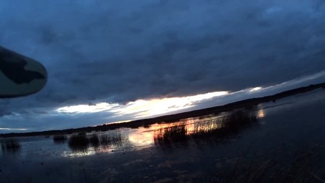 Осенняя охота на лысуху и дикую утку.Hunting for a duck