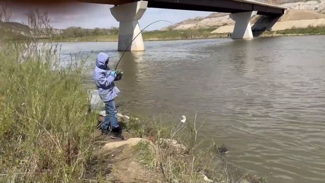 Открытие рыболовного сезона 2024. Драмхеллер, река Красный Олень (Red Deer River).