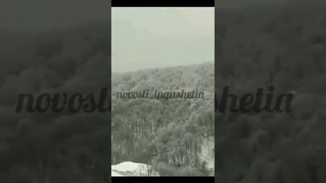 Чечня Ингушетия  братья