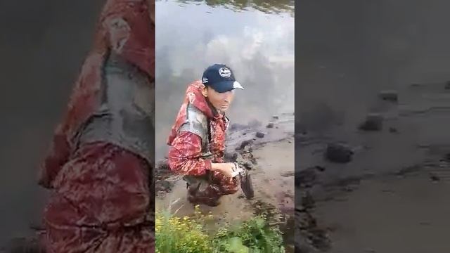 30 июля 2017 г.