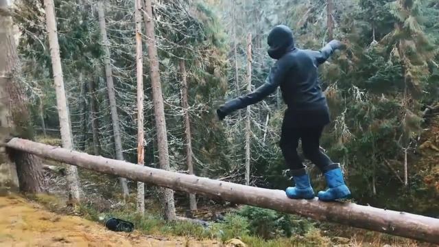 Поход в Лемболово