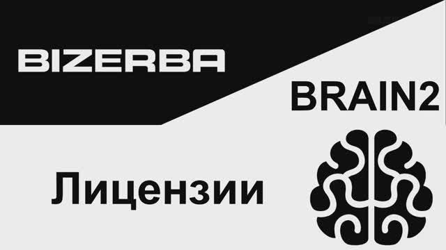 Шпаргалки по BRAIN2. Лицензии