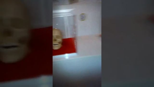 Музей динозавров :D
