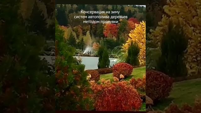Продувка систем автополива деревьев
