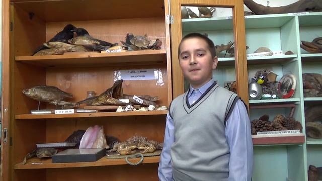Самый юный музейный экскурсовод Омской области учится и в школе села Любино-Малороссы! НОМ 71