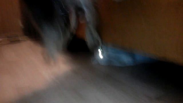 Любимая игрушка котЭ