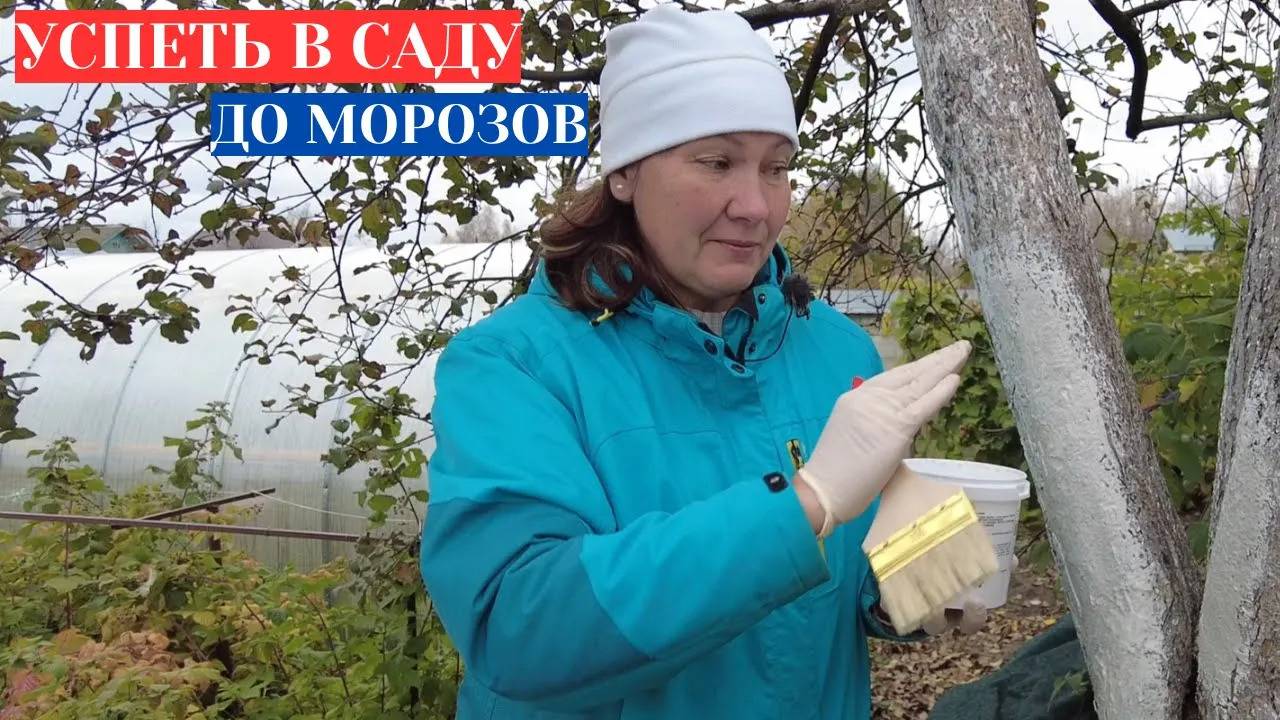 УСПЕТЬ ДО МОРОЗОВ В САДУ - 5 ДЕЛ, КОТОРЫЕ НЕЛЬЗЯ ОТЛОЖИТЬ ДО ВЕСНЫ