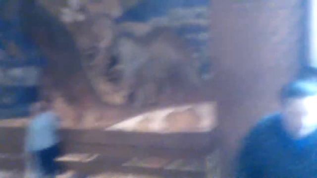 Палеонтологический музей #2