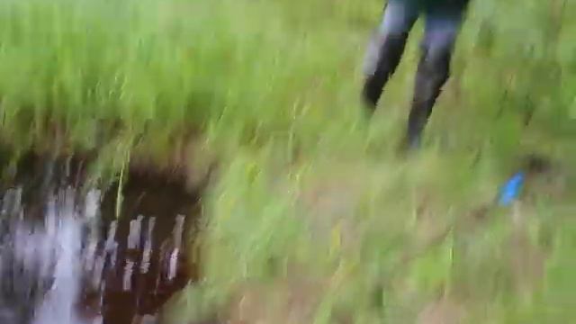 Щука 8. Ловля щуки на спиннинг. Ловля на быстрой воде