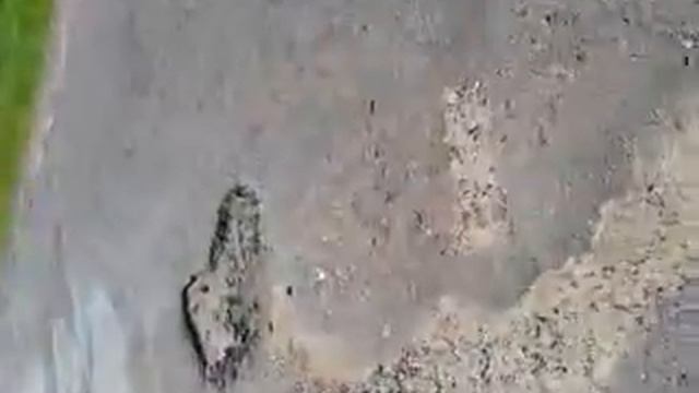 могилевская область глуский район  вот такие у нас дороги....