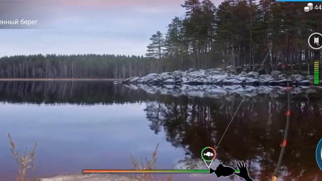 играю в игру My Fishing World на локацые каменный берег