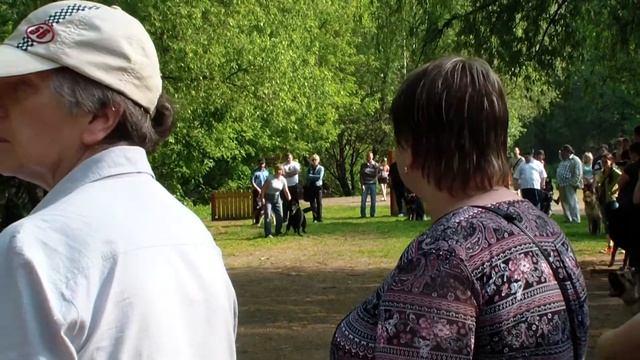 Больше статей и видео на allbestdog.ru