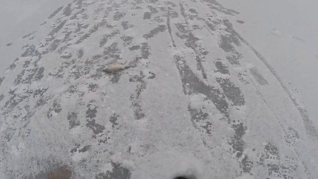Подлещик на мормышку