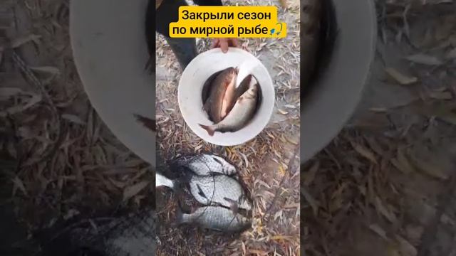 Закрытие летнего сезона рыбалки