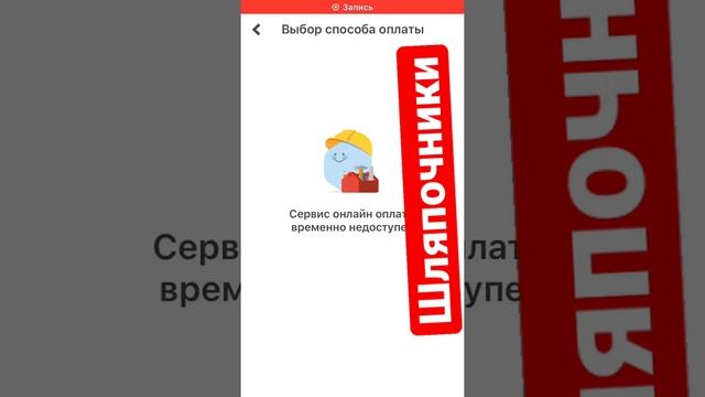 Сервис по оплате налогов через Госуслуги не работает. Шляпочники