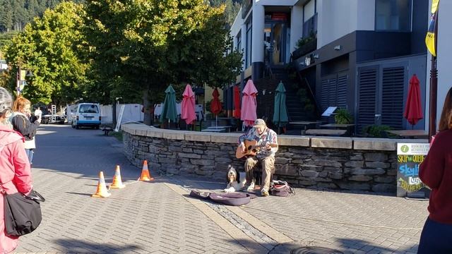 Поющая собака в Новой Зеландии. Тур в Новой Зеландии. Экскурсии по лучшим местам Новой Зеландии.