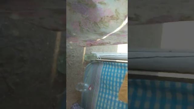 как мы живём на море в Должанке