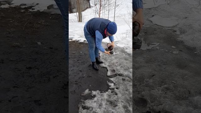 На скорую руку, моем машину, набором от компании ГРИНВЕЙ Автолюкс.
