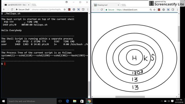 What happens when we run a Shell Script ?