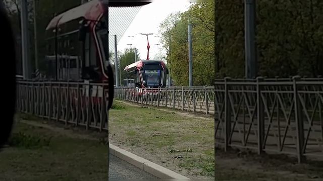 Видео о трамваях: ЛВС 86К; Витязь-м; Богатырь-м; Витязь-Ленинград. Маршруты: №60 и №36.