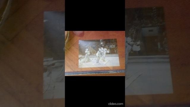 Музей Дурова в Воронеже 1ч
