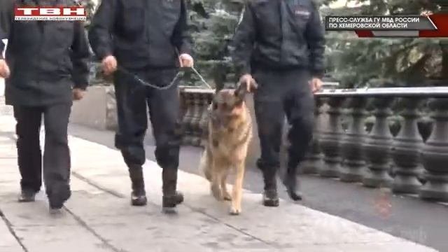 Золотая "лихорадка"