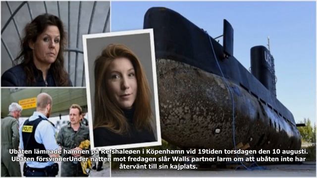 Peter madsen häktas för mord