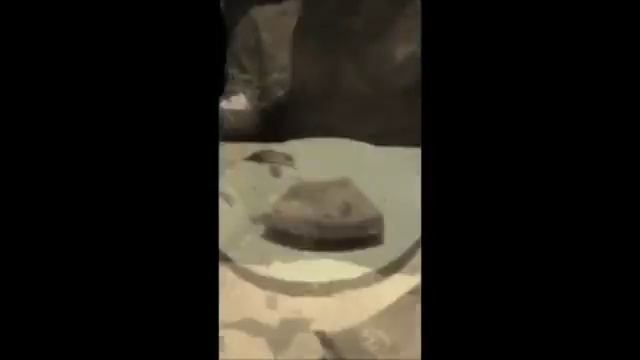 Девочки столько не едят!!!!