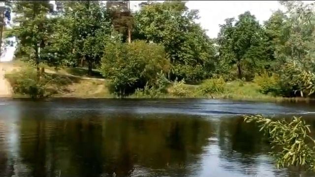 Дубовая роща, прогулка обзор с удочкой.