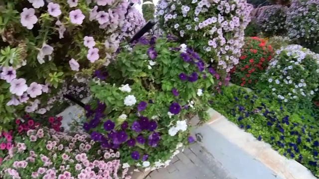 DUBAI MIRACLE GARDEN/Сад чудес. Дудай